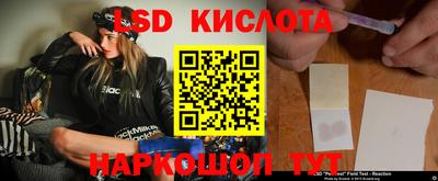 стаф Донской