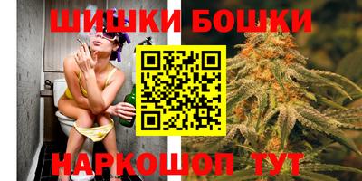 МДПВ Дубна