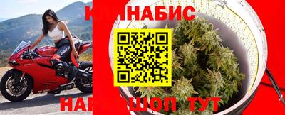 стаф Донской