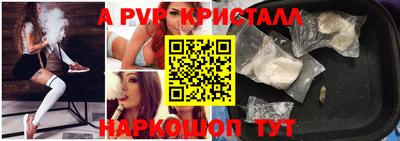 стаф Донской