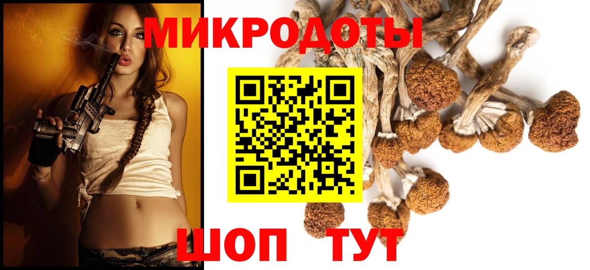 Галлюциногенные грибы Psilocybine cubensis  дарнет шоп  Дальнереченск  Псилоцибиновые грибы GOLDEN TEACHER  Вход с VPN 